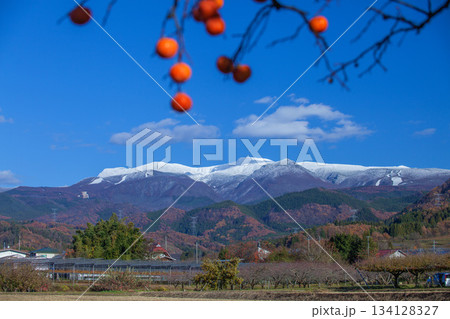 冠雪の蔵王連山と残り柿 134128327