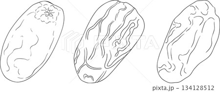 Detailed line vector art of dates. Ideal for food, culinary, coloring pages 134128512