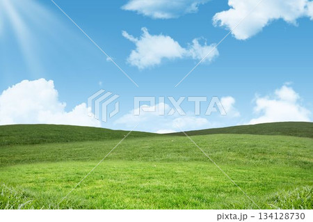 Blue sky over green field Blue sky over green field 134128730