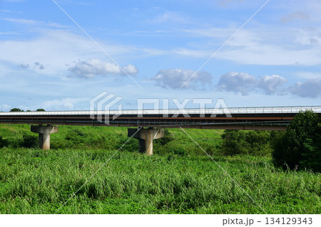 中の島公園管理橋 134129343