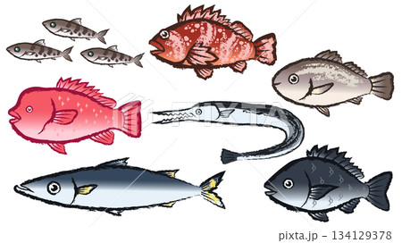 魚のセット 134129378