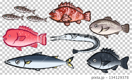 Fish set 134129378