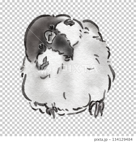 Sparrow tilting its head (sumi-e style) 134129484