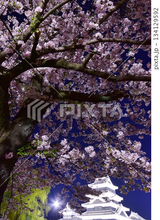 松本城 春のライトアップ 松本城 春のライトアップ 134129592