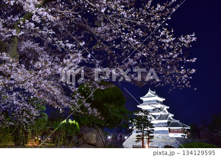 松本城　春のライトアップ 134129595