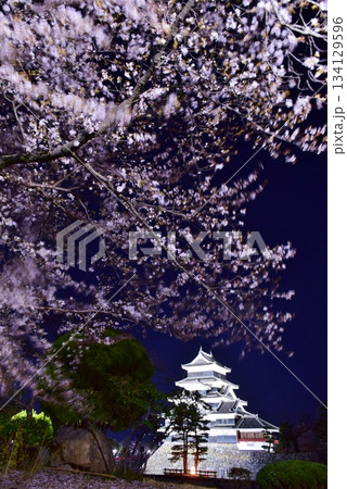 松本城　春のライトアップ 134129596