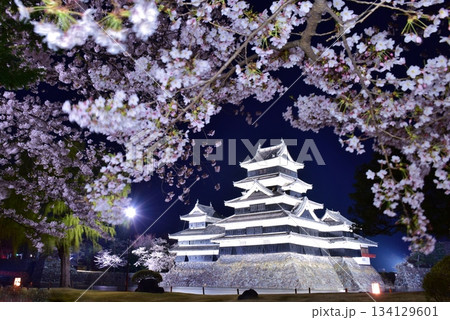 松本城　春のライトアップ 134129601