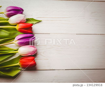 six tulip flowers are showing purple white red blooms in vertical-row flatlay on planks, copy space six tulip flowers are showing purple white red blooms in vertical-row flatlay on planks, copy space 134129918