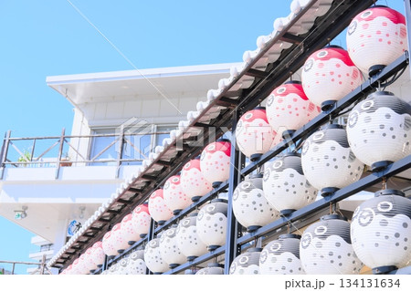 空に並ぶ可愛らしいフグ提灯の列 134131634