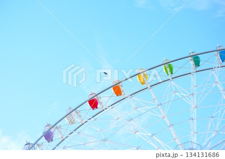 青空に映える虹色の観覧車と一羽の鳥 青空に映える虹色の観覧車と一羽の鳥 134131686