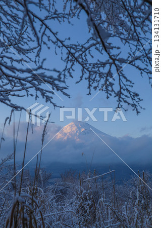雪山から富士山 134131710