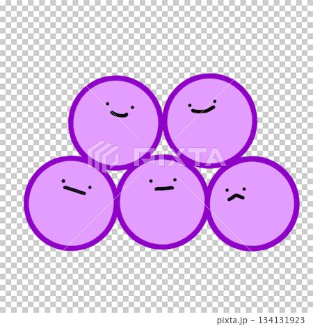黄色ブドウ球菌　Staphylococcus aureus 134131923