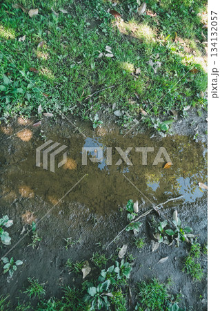 various various 134132057