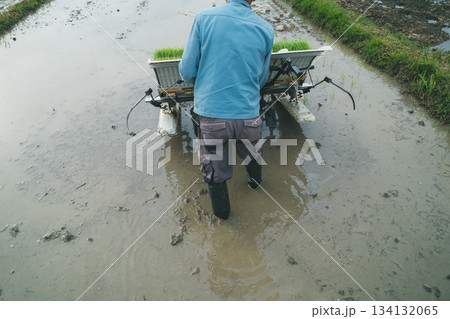 Agriculture 134132065