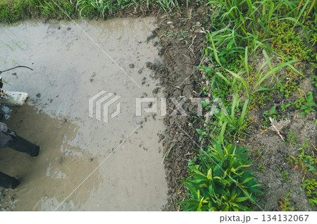 Agriculture Agriculture 134132067