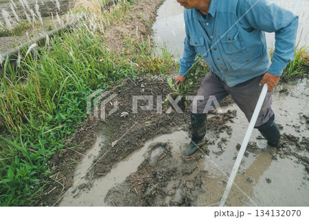 Agriculture 134132070