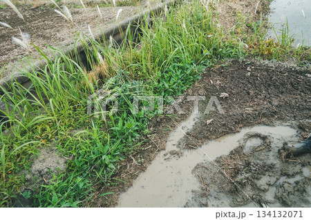 Agriculture Agriculture 134132071