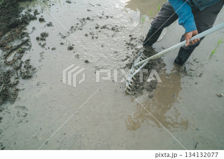 Agriculture Agriculture 134132077