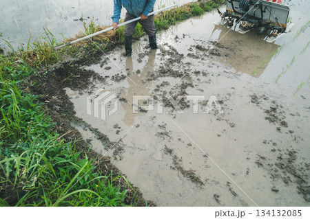 Agriculture Agriculture 134132085
