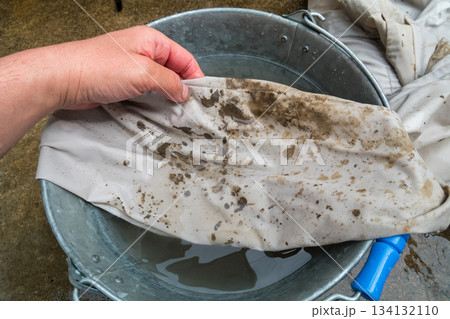 田植えで汚れた作業着を洗う 134132110