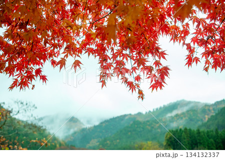 紅葉のある風景 紅葉のある風景 134132337