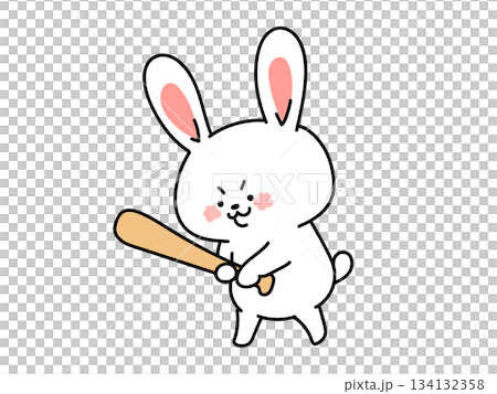 Let's play baseball! A rabbit who wants to play baseball 134132358