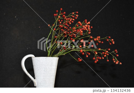 ノイバラの実　赤い実 134132436