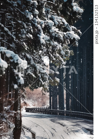雪が積もった寒い日の山の道 134132513