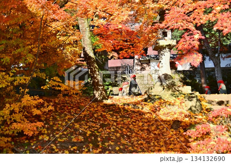 紅葉に包まれた桑原山龍洞院 134132690