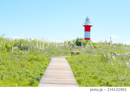 美しいはまなすの丘公園	 134132901