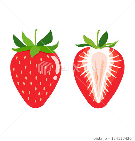 イチゴ1粒と断面のイラストセット イチゴ1粒と断面のイラストセット 134133420