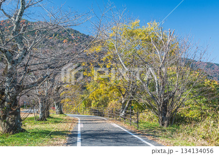 初冬の嵐山風景 京奈和自転車道 京都市 初冬の嵐山風景 京奈和自転車道 京都市 134134056