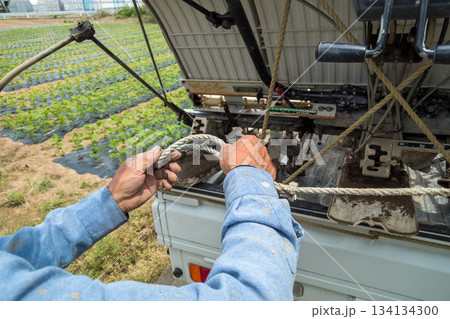 Agriculture Agriculture 134134300