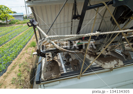 Agriculture 134134305