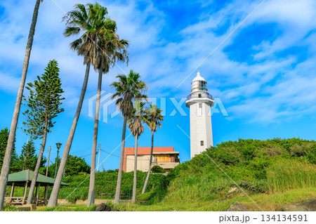 千葉県　南房総市　野島埼灯台 134134591