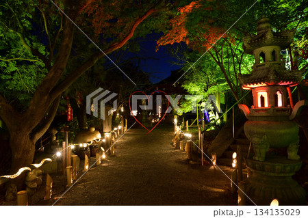 カエル寺楓光会 134135029