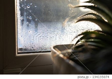 Ventilation in Housing Helps Manage Humidity and Prevent Mold in Indoor Spaces 134135074