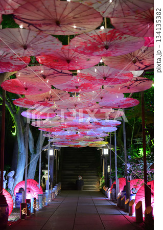 カエル寺楓光会 134135382