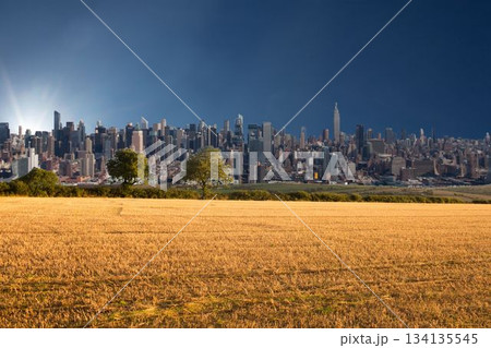 Illustrative image of grassy landscape and buildings 134135545