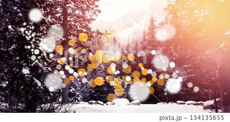 Defocused lights against snow covered trees and mountain 134135655