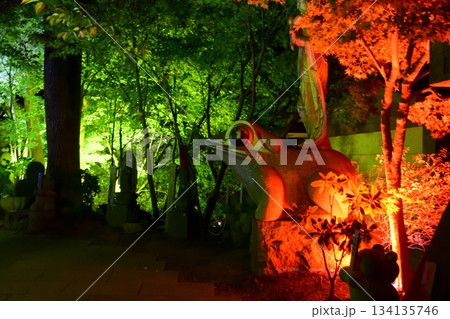 カエル寺楓光会 カエル寺楓光会 134135746