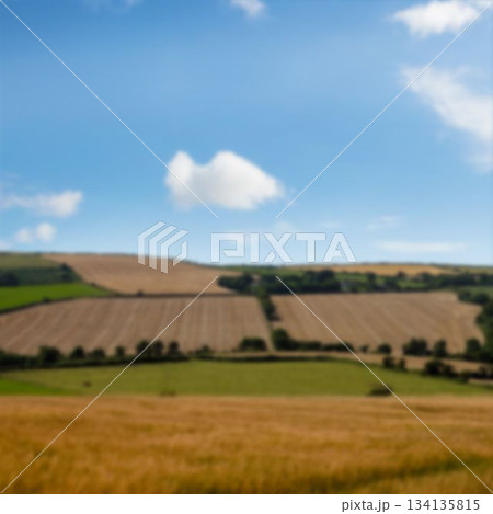 Agriculture fieldagainst sky Agriculture fieldagainst sky 134135815