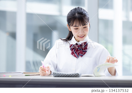 学生　勉強する女子高校生 134137532