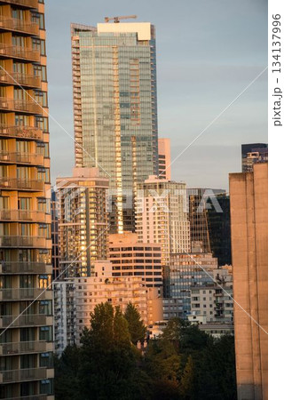 Modern office buildings in city 134137996