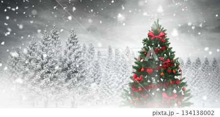Christmas tree in snowy forest Christmas tree in snowy forest 134138002