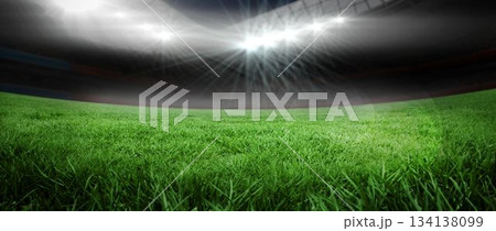 Green grass pitch is stretching in flat design stadium with overhead floodlights and shadowed seats Green grass pitch is stretching in flat design stadium with overhead floodlights and shadowed seats 134138099