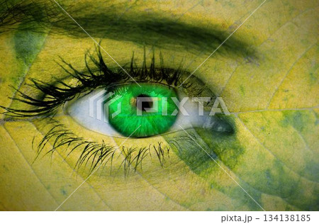 Human eye is being shown in flat design, blending green iris with leaf veins and eyelashes 134138185