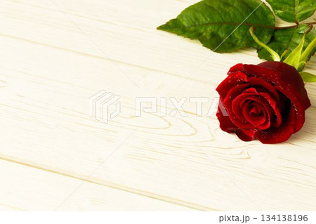 Red rose on wood with copy space 134138196