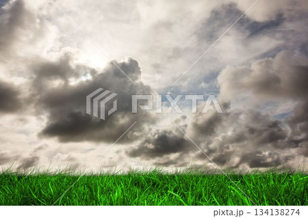Green grass under grey sky 134138274
