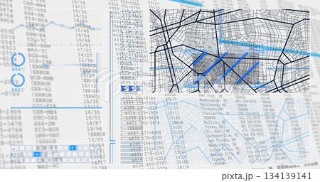 Displaying street-map grid featuring highlighted blue route lines on workstation screen, copy space 134139141